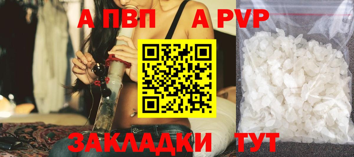 Alfa_PVP СК Лобня