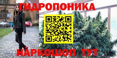 apvp Баксан