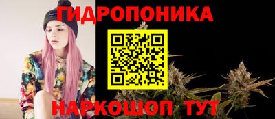 2c-b Аша