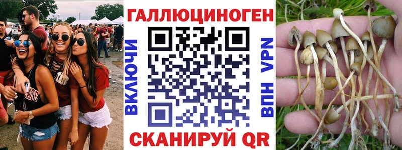 Галлюциногенные грибы мицелий  где можно купить наркотик  Лобня 