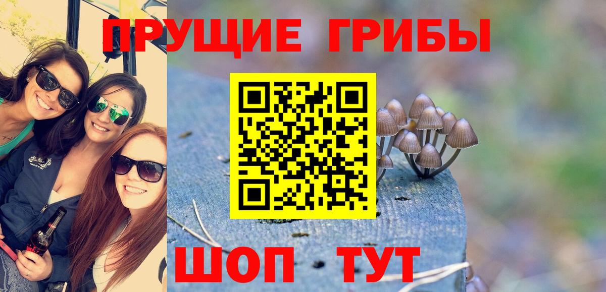 Лобня  Псилоцибиновые грибы мицелий  Псилоцибиновые грибы мицелий  Вход с VPN 
